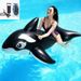 Inflatable Black Dolphin Large Whale Pool Ride-On Toy For Children And Adults Swimming Ring Water Float_voghion.com