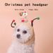 Reindeer Cat Headgear Cute Pet Costume Accessories Transform Into Bear Dog Hat_voghion.com