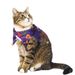 Halloween And Scarf Skull Pattern Cat Cape Hat Set Accessories Ornaments_voghion.com