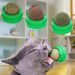 Natuurlijke kattenkruid kattenmuur bal speelgoed krabpaal traktaties gezonde natuurlijke verwijdert ballen kattenbenodigdheden 1 st._voghion.com