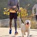 Pet Supplies Running Sports Waist Bag Set High Elasticity Walking Explosion-Proof Outdoor Dog Leash_voghion.com