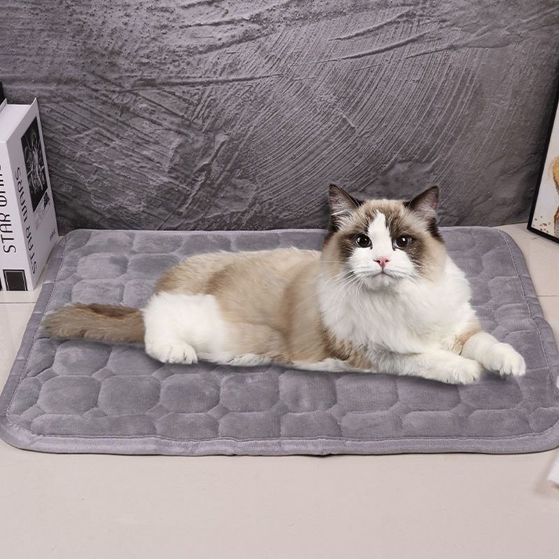 Cat Mat Winter Warm Flannel Pet Sleeping All-Season Universal Dog Bed_voghion.com