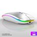 produttore Prezzo Mouse wireless ricaricabile ergonomico silenzioso a LED per laptop/PC_voghion.com