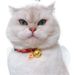 Anti-Choke Safety Buckle Easy To Open Silent Bell Nafu Cat Collar Factory Chain_voghion.com