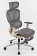 Ergonomic Office Chair With Footrest, High Back Computer Office Chair With Dynamic Lumbar Support, 2D Headrest, 4D Armrest, Sponge Seat, Mesh Home Office Desk Chair For Adults, Grey_voghion.com