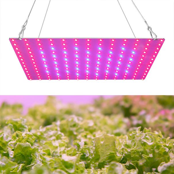 Viso spektro 200 W šviesos LED augalų lempa 220 V Phyto Grow Tent Fitolampy 300 W Quantum Board Šiltnamio apšvietimas Daržovės, gėlių sėklos_voghion.com