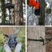 Heavy Duty Tree Stick For Hunting Climbing With Adjustable Mountaineering Stick, Secure Most Hanging Objects, Durable_voghion.com
