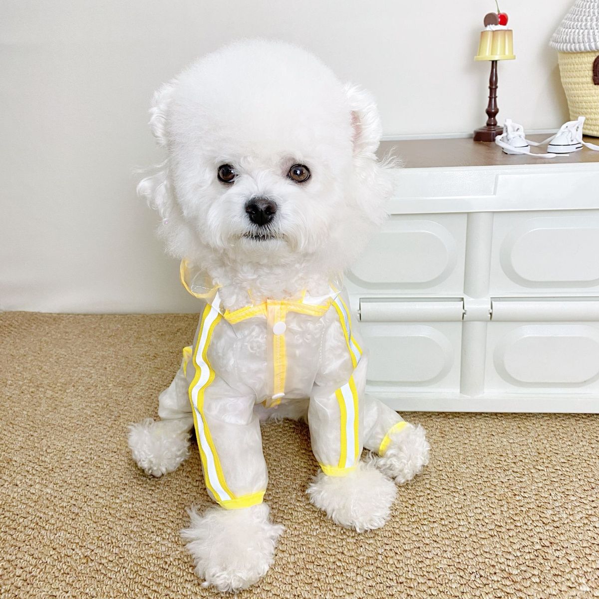 New Pet For Dogs, Four-Legged Transparent With Tail Cover, Reflective Strips, Hooded Dog Raincoat_voghion.com