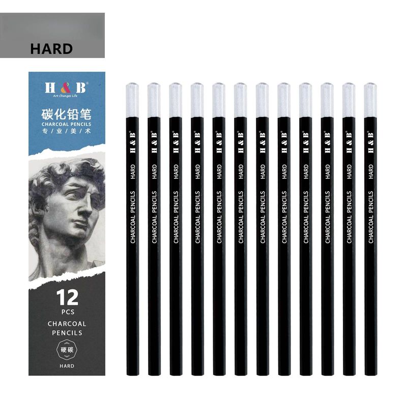 Coffret de 12 crayons à dessin professionnels en carbone pour artistes et étudiants - Crayons à dessin HB doux/moyen/dur pour croquis, ombrage et beaux-arts_voghion.com
