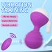 Casemee Strong Vibrating Balls For Women, 10 Modes Pelvic Floor Exercise Trainer With Remote Control, Medical Silicone_voghion.com