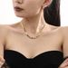 Fangtang Temperament Color Diamond Titanium Steel Lock Bone Chain Women's Trendy High-end Snake Bone Chain Necklace_voghion.com