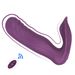 Vasana Thrusting Dildo Vibrator Small Range Telescc L Wall G Spot Stimulator Clitoris Stimulation Wearable Panties_voghion.com