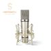 HISINGWELL All-Metal Capacitive Recording Microphone for Laptop Windows Cardioid Studio, Vocal Music_voghion.com