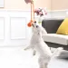 Dog Training Ball On A Rope, Cotton Rope Ball, Toy, Non-toxic, Durable, For Large Small Dogs, Catch And Throw By PawParty Store_voghion.com