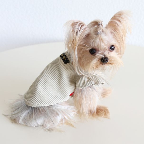 Petstyle 2024 Autumn Winter New Style Turn-Down Flutter Sleeve Base Shirt Ribbed High Collar Cat Clothing Pet Clothes_voghion.com