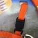 Pet Supplies H-shaped Walking Rope Chain Harness Cat Leash_voghion.com
