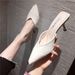 Try-On Half Mules High Heels Elegant Internet Celebrity Sandals Women's New Season Pointed Toe Versatile Chunky Heel_voghion.com