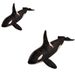 Plush Realistic Killer Whale Toy Soft And Cuddly Ocean Sea Life Stuffed Doll Animal Pillow_voghion.com