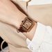 Oushiqie Square Brown Diamond Set Small Fashion Live Quartz Women's Watch_voghion.com