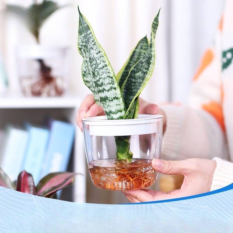 Garden Supplies Pack New G214 Fully Transparent Hydroponic Flower Pot Flower Arrangement Water Bottle_voghion.com