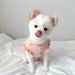 Spring Thin Cat Flying Sleeve Vest Dog Two-Legged For Small And Medium Dogs Puppies Cats Autumn Pet Clothes_voghion.com