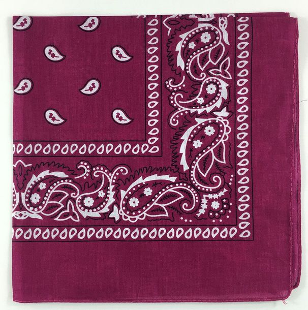 LazyZoom 100% Cotton Amoeba Cashew Flower Outdoor Sports Hip-Hop Street Dance Square Scarf Cycling Magic Headscarf Face Mask_voghion.com