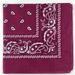 LazyZoom 100% Cotton Amoeba Cashew Flower Outdoor Sports Hip-Hop Street Dance Square Scarf Cycling Magic Headscarf Face Mask_voghion.com