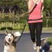 Hands-Free Cat And Outdoor Running Reflective Dual Retractable Pet Dog Leash_voghion.com