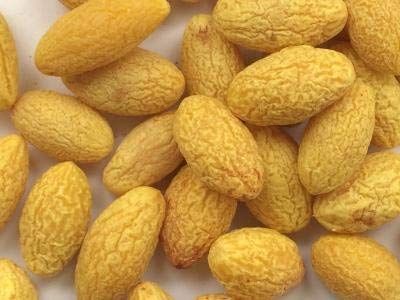 2 Pound (908 Grams) Dried Olive Fruit With Licorice Flavor_voghion.com