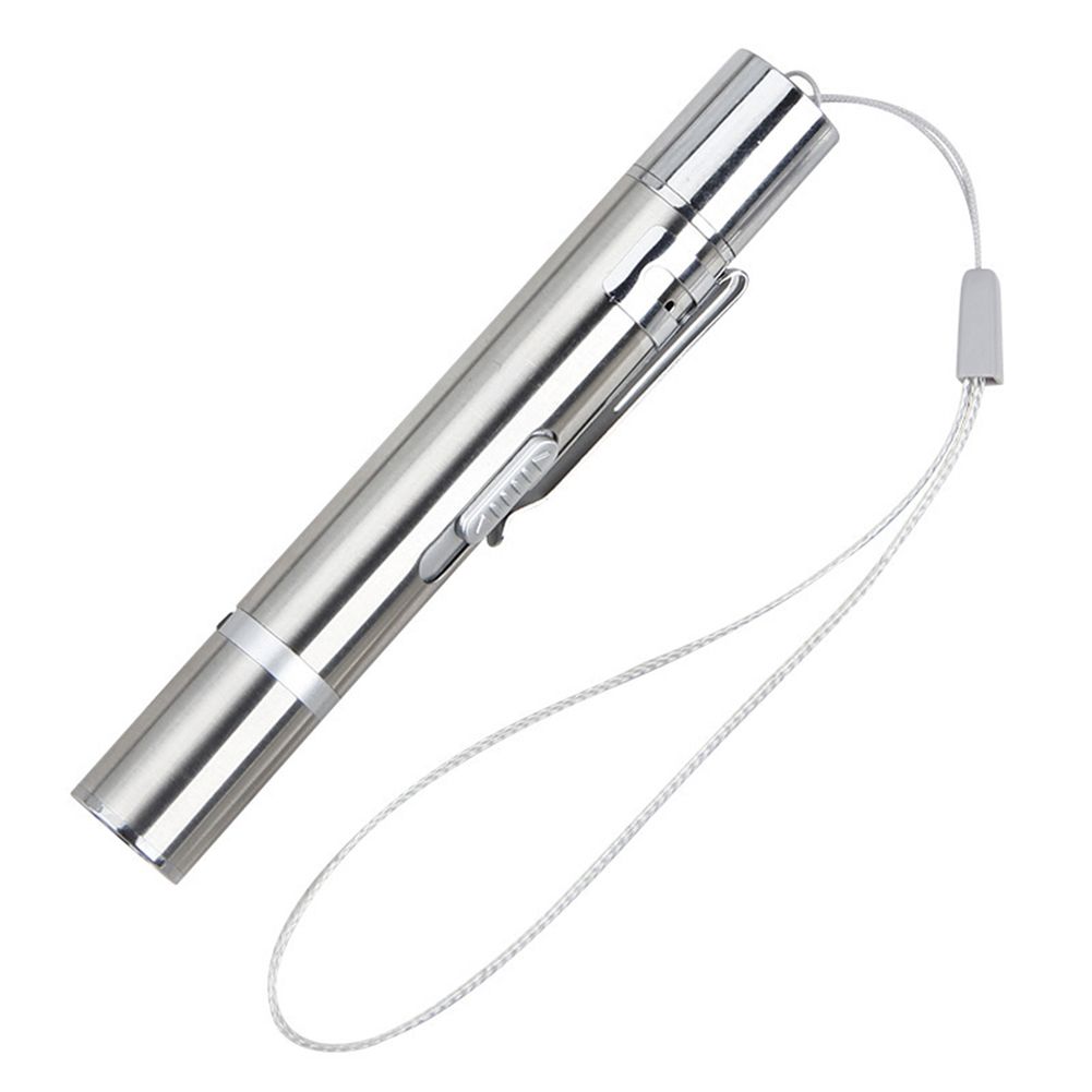 Guangying Rolig Pet Cat LED Light Pointer Pen Teaser USB Ficklampa Kitten Interactive Toy_voghion.com