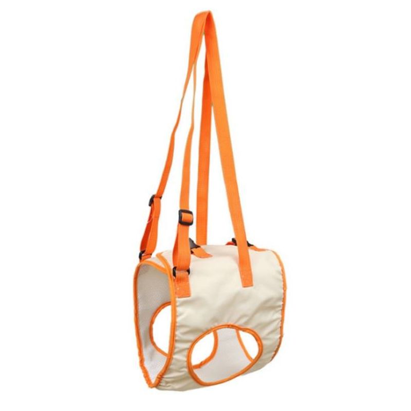 Ceinture d'assistance pour chiens âgés et handicapés postopératoires, pattes avant_voghion.com