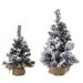 Weihnachtsdekorationen Kreative Simulation Schnee Weihnachtsbaum Mini Baum Desktop Ornamente Weihnachten Schnee Spray Baum_voghion.com