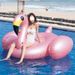 Summer Entertainment Water Bed Ins High-Value Inflatable Flamingo Adult Floating Row Swimming Ring Air Cushion_voghion.com