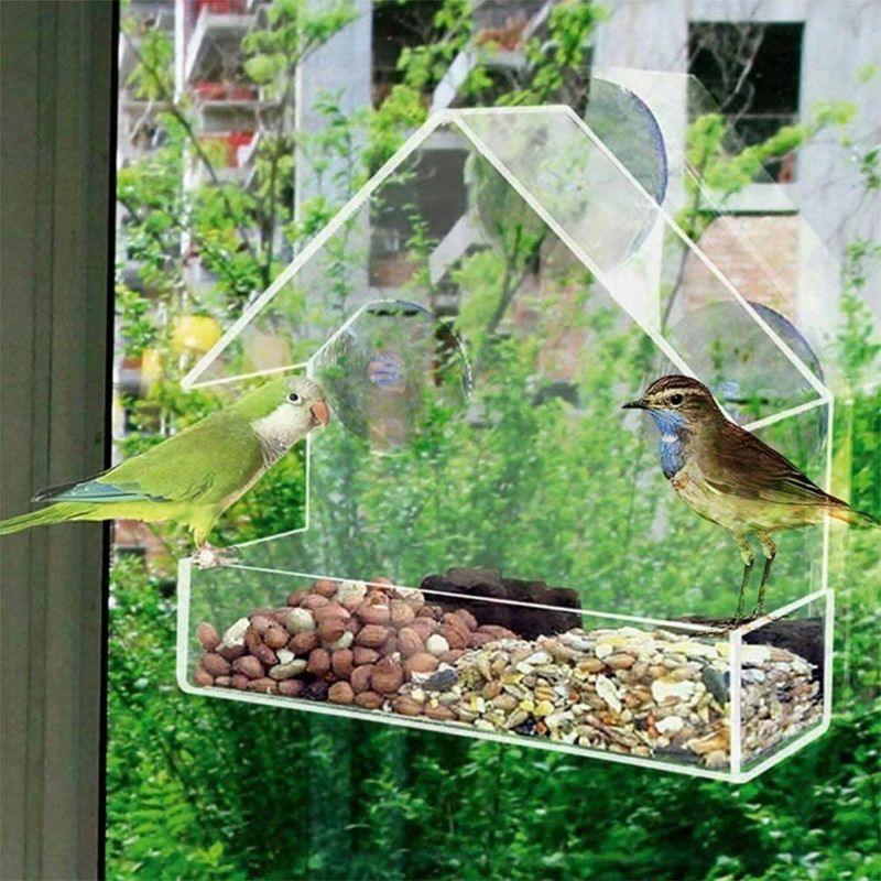 Attirez les oiseaux sauvages dans votre jardin avec des mangeoires en acrylique – Mangeoires d'extérieur à ventouses_voghion.com