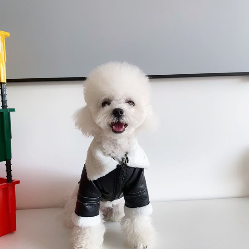Vêtements pour chiens hiver épaissi à la mode marque fourrure veste de moto petit chien Teddy Pomeranian Schnauzer chat_voghion.com