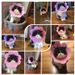 Sunflower Elizabethan EVA Sponge Lightweight Headband Cat Supplies Neck Anti-Lick Shame Collar Neutering Use_voghion.com