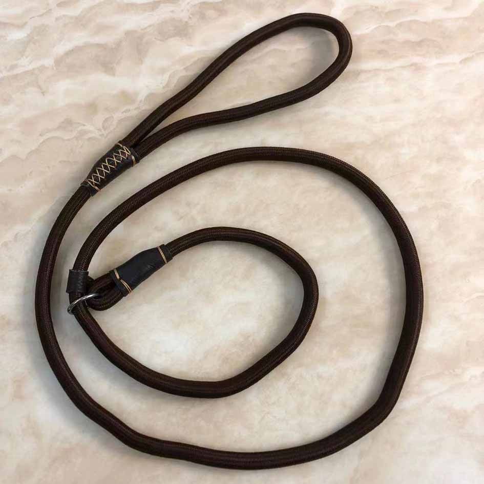 Collar Nylon Integrated Chain P Rope Teddy Explosion-Proof Universal Dog Walking Leash_voghion.com