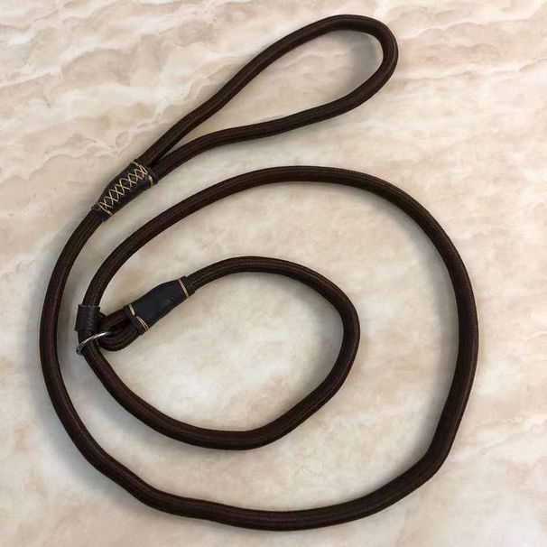 Collar Nylon Integrated Chain P Rope Teddy Explosion-Proof Universal Dog Walking Leash_voghion.com