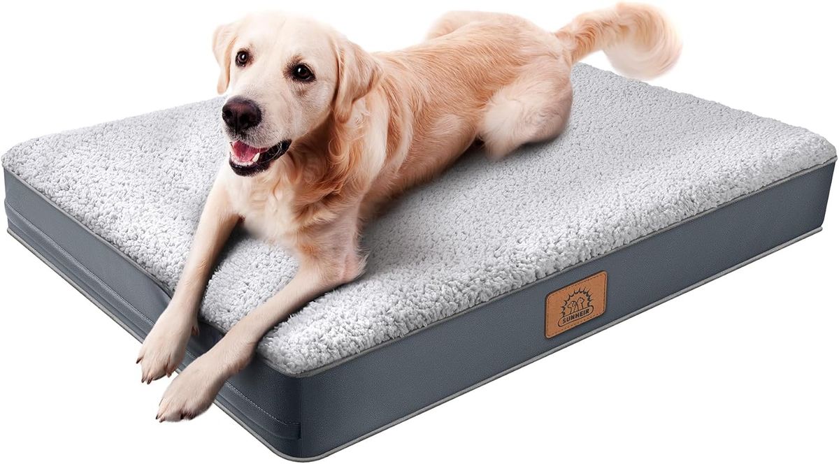 Cama ortopédica para perros grandes - Jaula impermeable grande con funda extraíble y lavable, soporte de espuma tipo huevera y base antideslizante, color gris_voghion.com