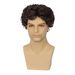Synthetic Clip-in New Wigs Men's Brown Synthetic Wigs Fashion Short Curly Fluffy Small Curly Wig_voghion.com
