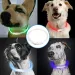 Glowing USB Dog Collar By PawParty Store_voghion.com
