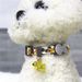 2021 New Pet Daisy Cat Cute Bell Dog Collar_voghion.com