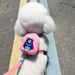 Small Pet Backpack Teddy Bichon Leash Cat Harness Dog Walking_voghion.com