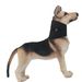 Nuevo collarín protector para mascotas, collarín antiesguince, transpirable y posoperatorio._voghion.com
