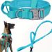 2025 New Durable Retractable Dog Leash_voghion.com