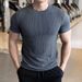 Men's Short-sleeved T-shirt Summer New Slim-fit Business Casual Fashion Versatile High-end Striped Crew Neck Bottoming Shirt_voghion.com