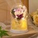 Weihnachten LED Leuchtende Unsterbliche Blume Glasabdeckung Geburtstagsgeschenk Mädchen Muttertag Valentinstag Lehrertag Simulation Rose_voghion.com