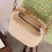 Bucket Straw Woven Small Casual Women's Handbag Tote Shoulder Crossbody Bag 2025 Spring New Model_voghion.com