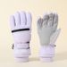 Winter Ski Gloves For Men, Thickened, Warm, Windpr, Cold-Pr, Touchscreen, Outdoor, Winter, Mountaineering,_voghion.com