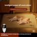 Pet constant temperature electric blanket brand heating mat, autumn and winter warmth, cat sleeping, nest dog mat_voghion.com